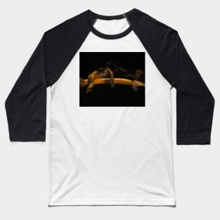 Banana, Thistle & Feathers - Baroque Inspired Dark Still Life Photo Baseball T-Shirt